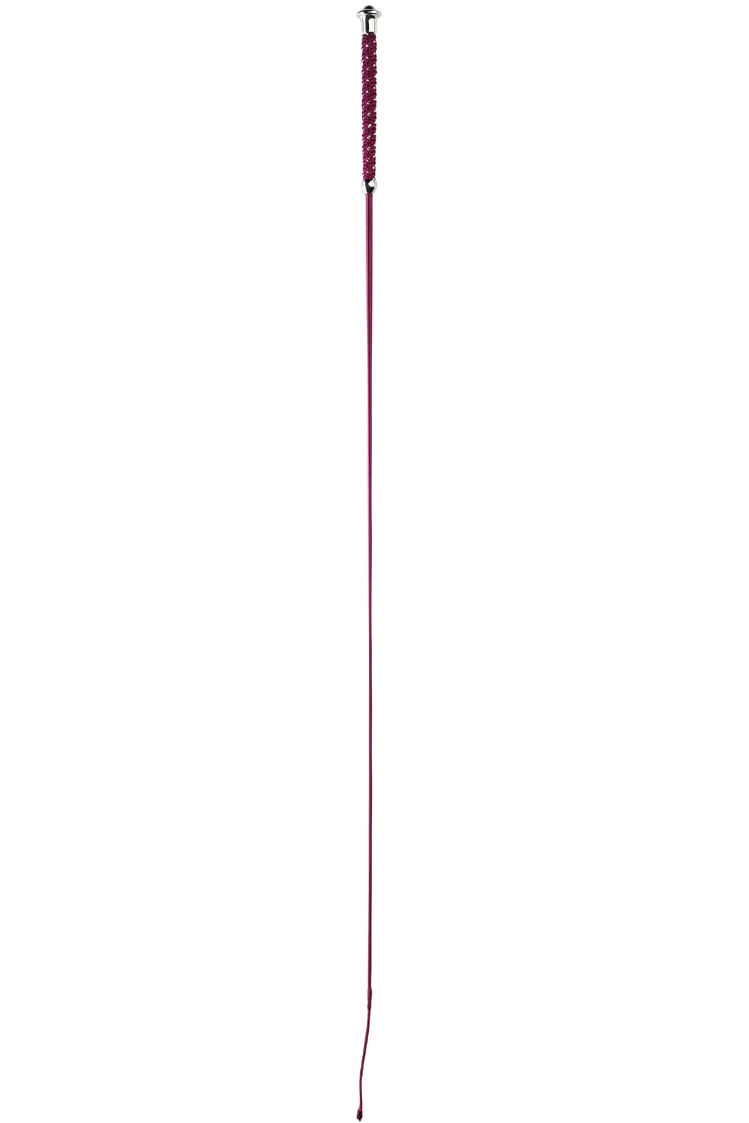 Cravache de dressage WHIP & GO - Points
