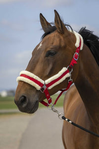 Licol EQUITHÈME - Nylon Mouton