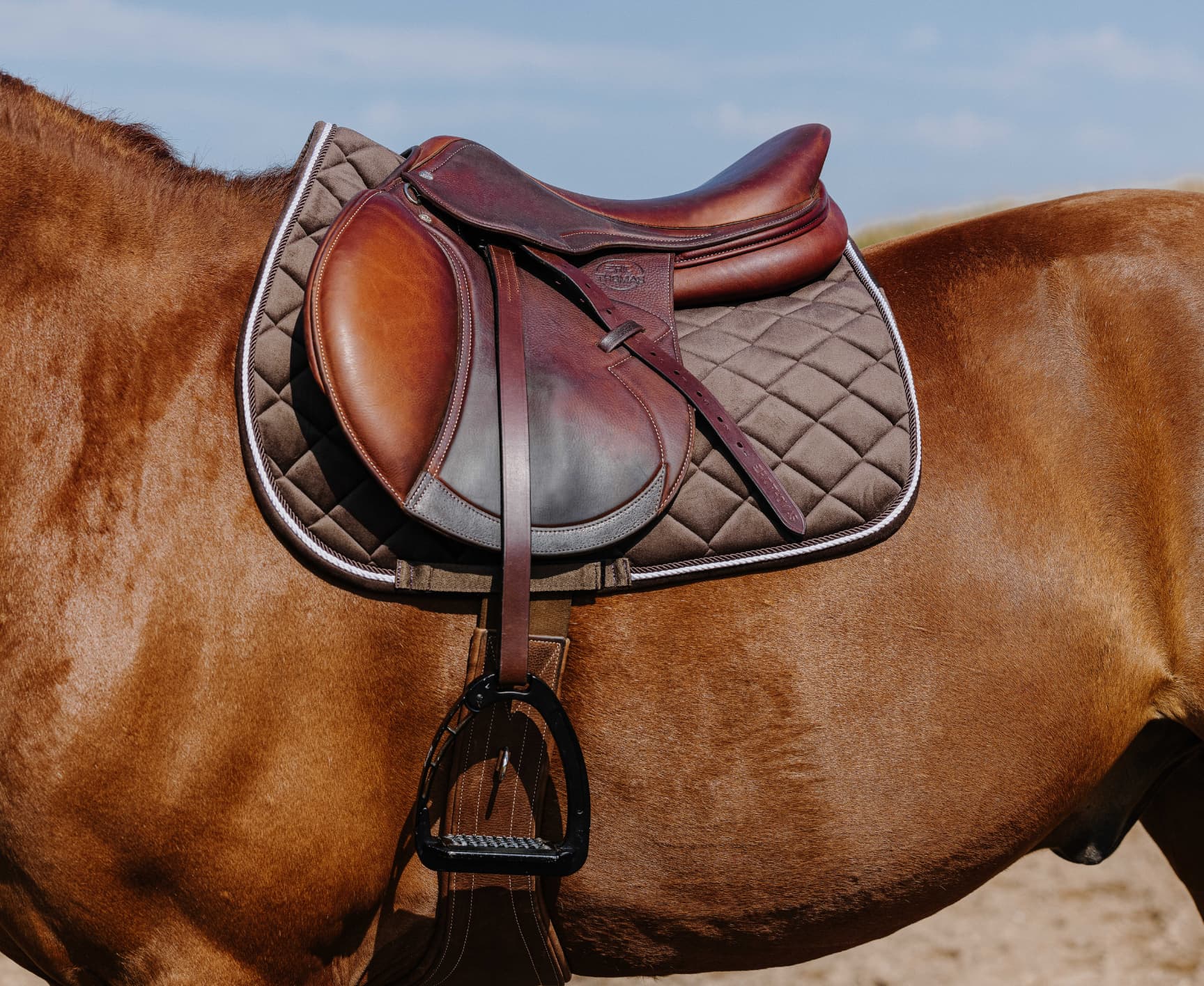 Tapis de selle RIDING WORLD - Velours