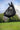 Masque anti-mouches EQUITHÈME -Lycra®-