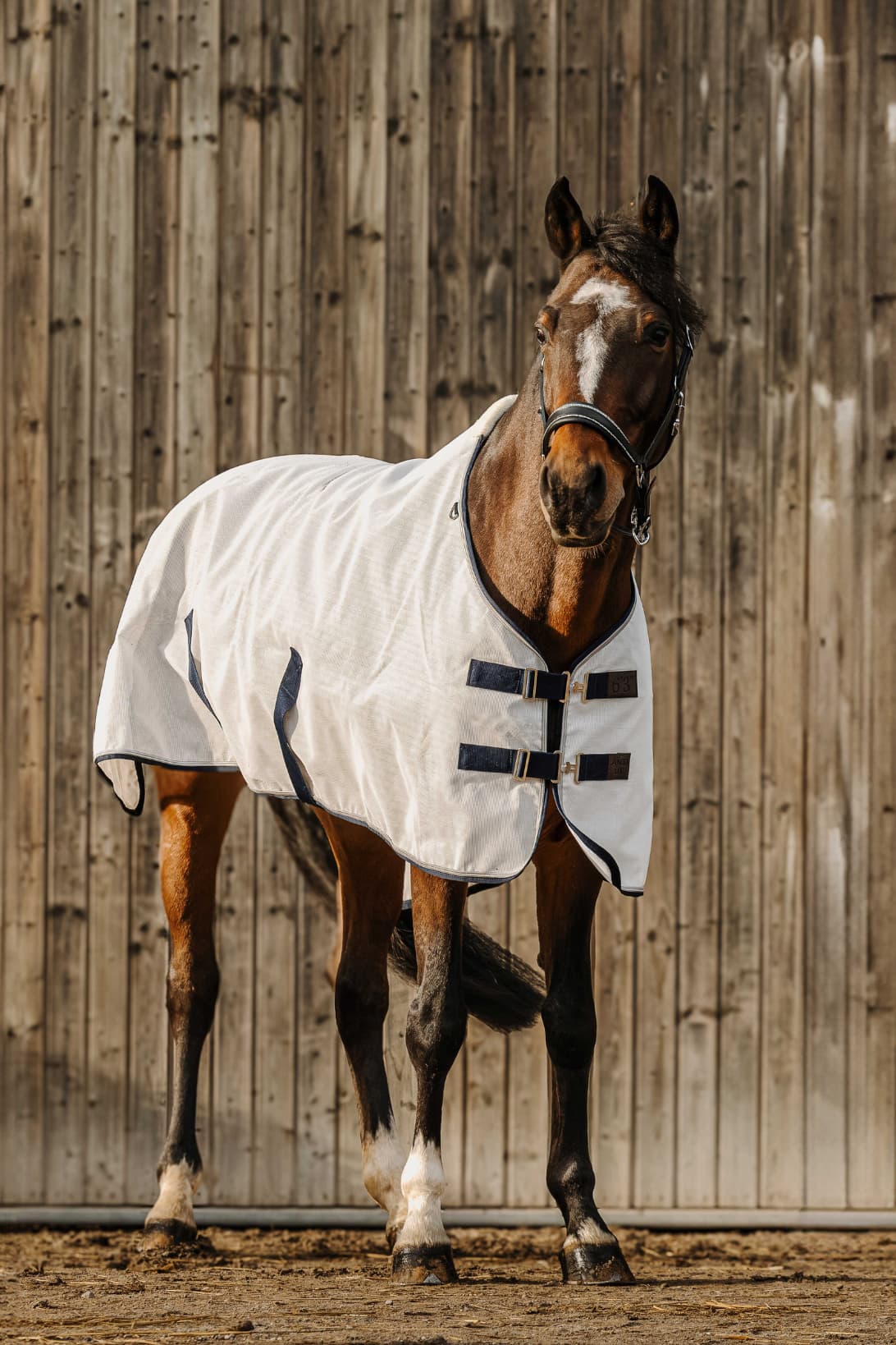Chemise anti-UV EQUITHÈME - PVC