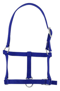 Licol foal RIDING WORLD