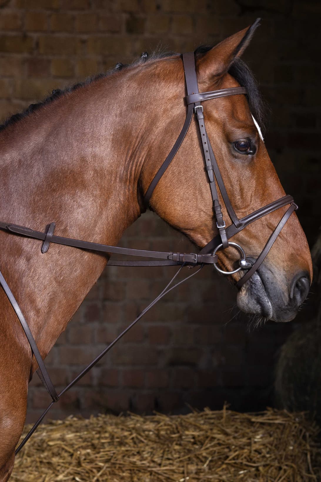 Martingale fixe RIDING WORLD