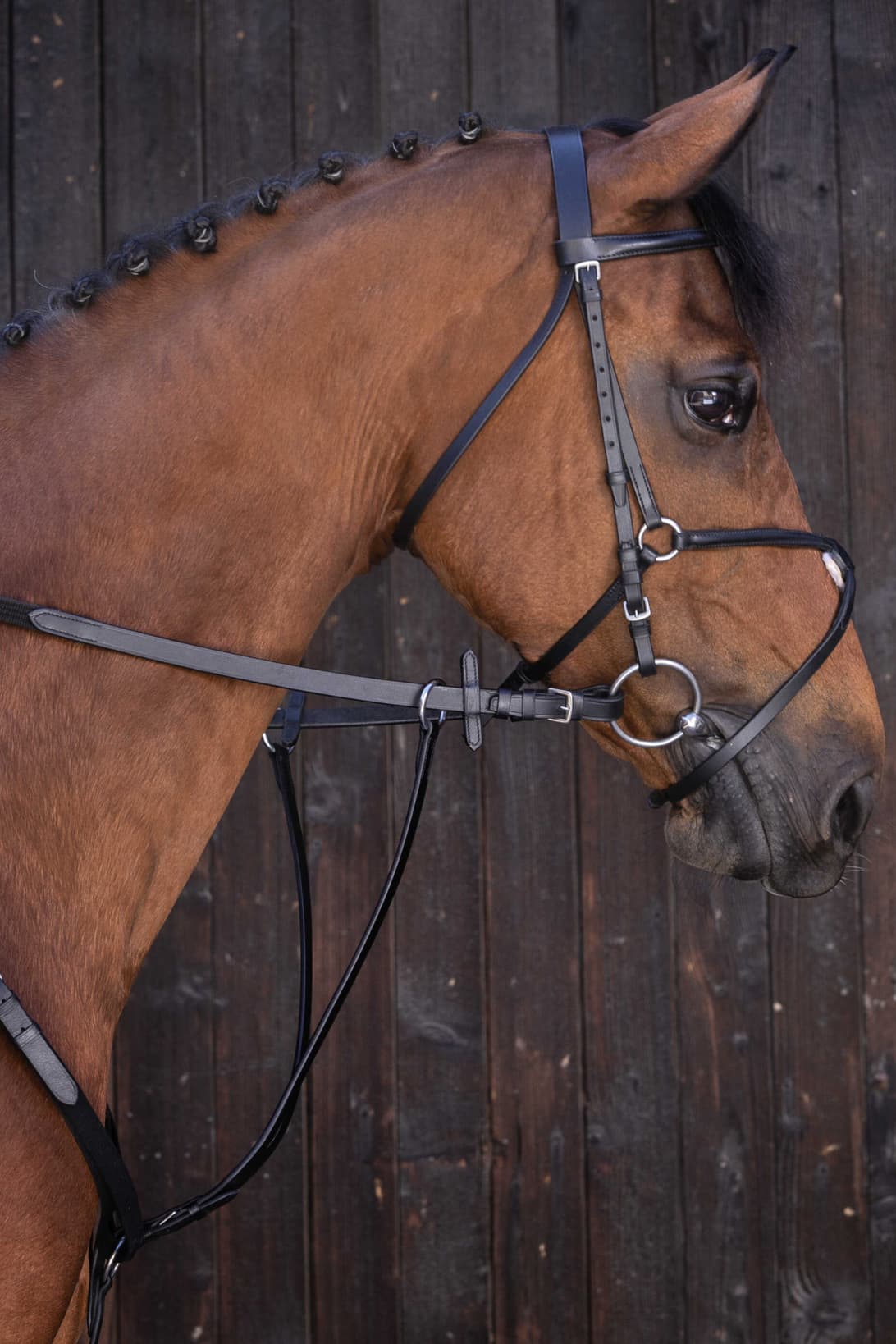 Martingale à anneaux RIDING WORLD