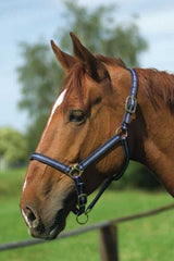 Licol nylon NORTON doublé cuir