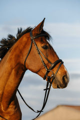 Bridon RIDING WORLD - Doublé muserolle combinée