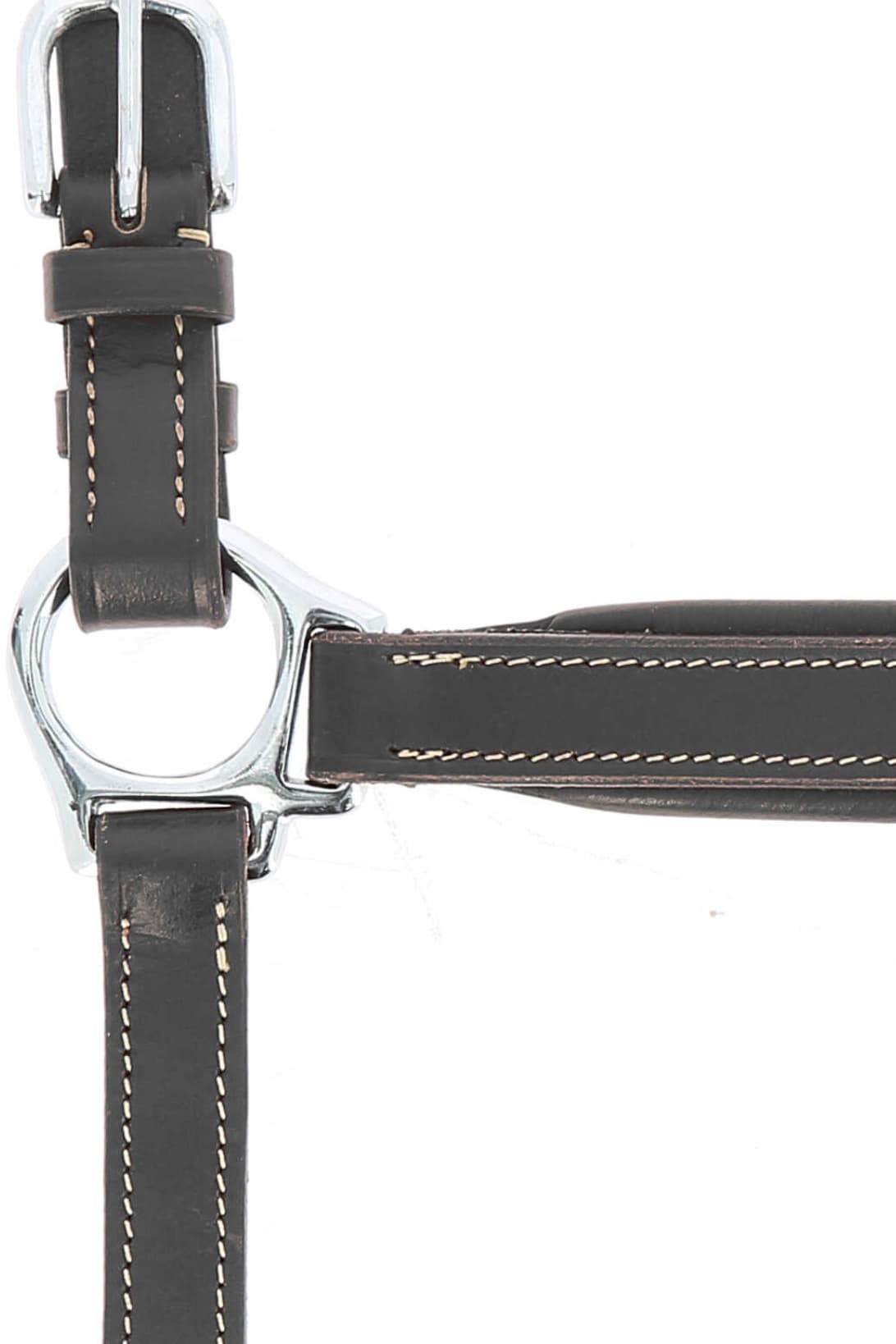 Licol cuir NORTON PRO - Grooming