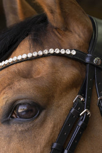 Bridon NORTON PRO - Bella