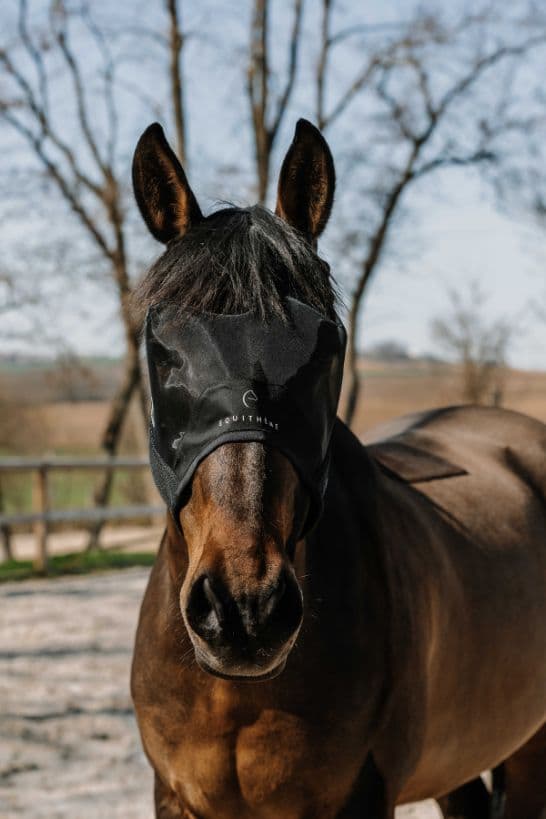 Masque anti-mouches anti-UV EQUITHÈME - Mesh sans oreilles