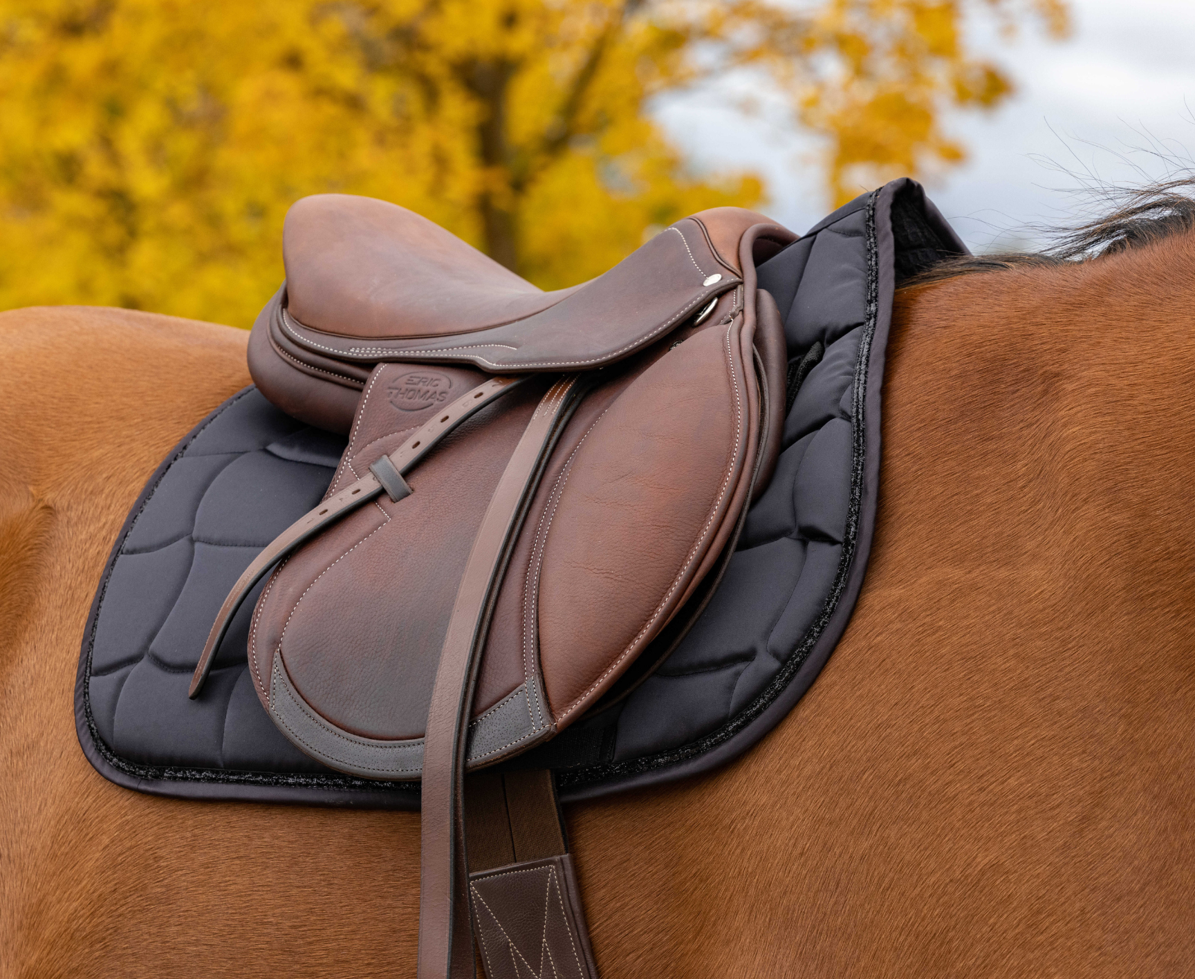 Tapis de selle EQUITHÈME - Satin