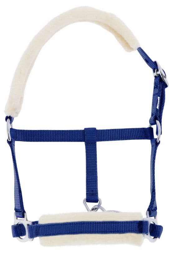 Licol foal RIDING WORLD mouton synthétique