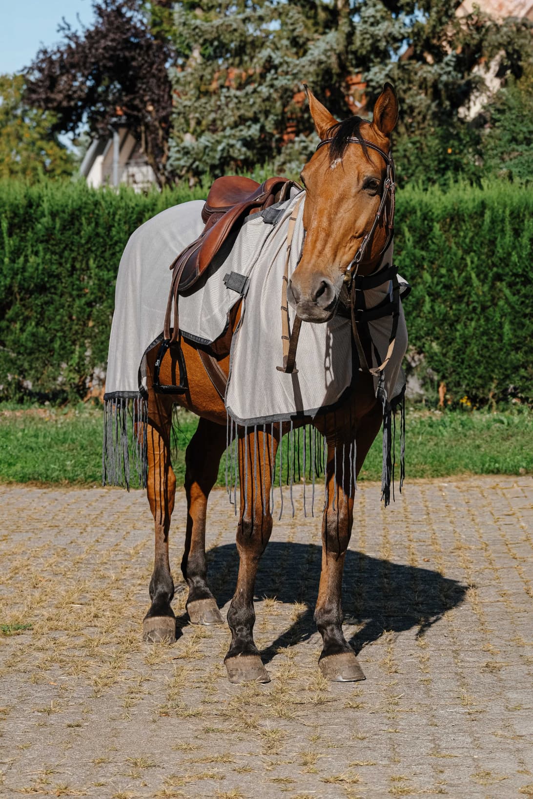 Chemise de travail RIDING WORLD anti-mouches