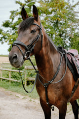 Bridon endurance NORTON - Pop