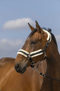 Licol EQUITHÈME - Nylon Mouton