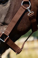 Licol NORTON - Cheval de trait