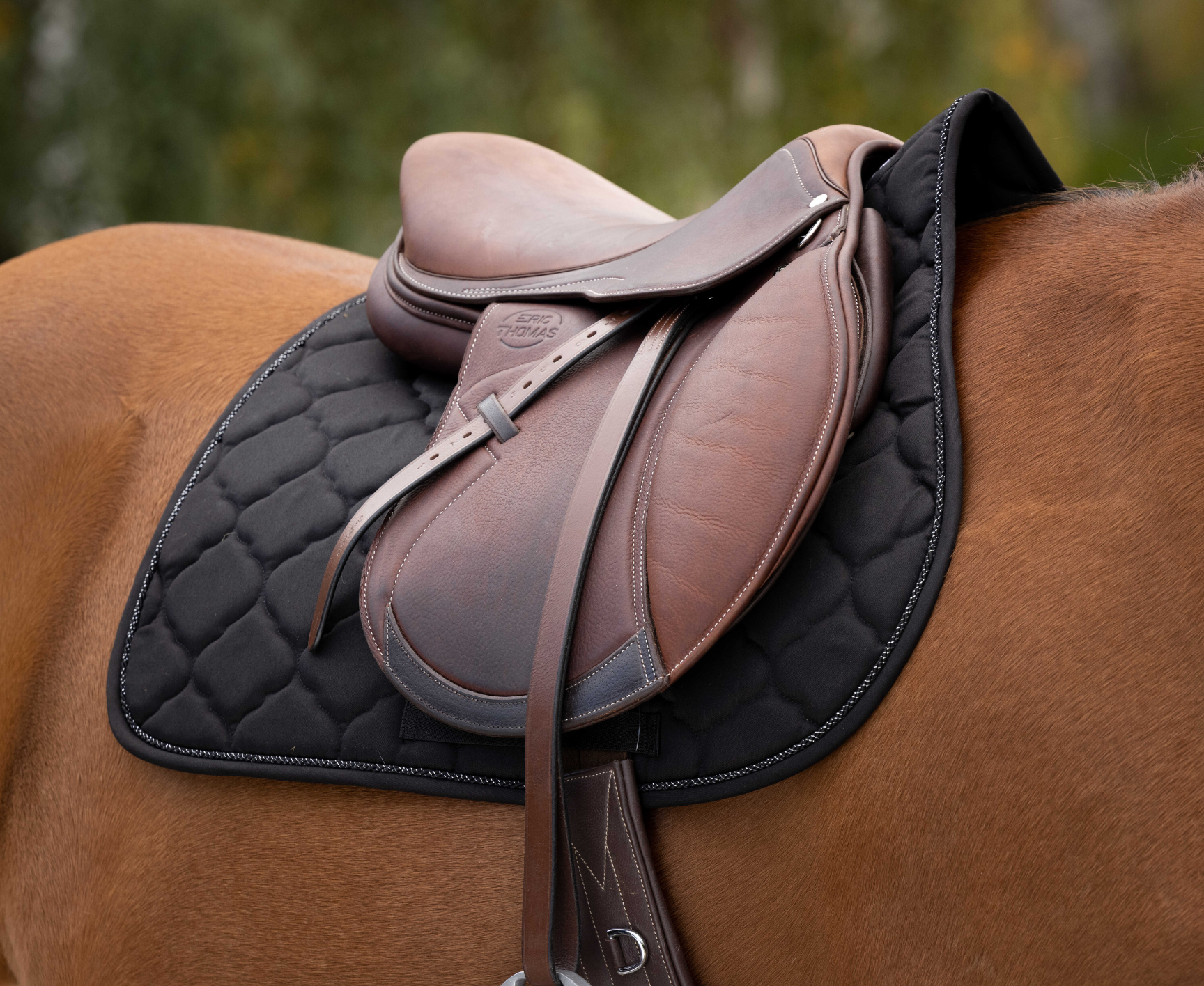 Tapis de selle mixte RIDING WORLD - Rope