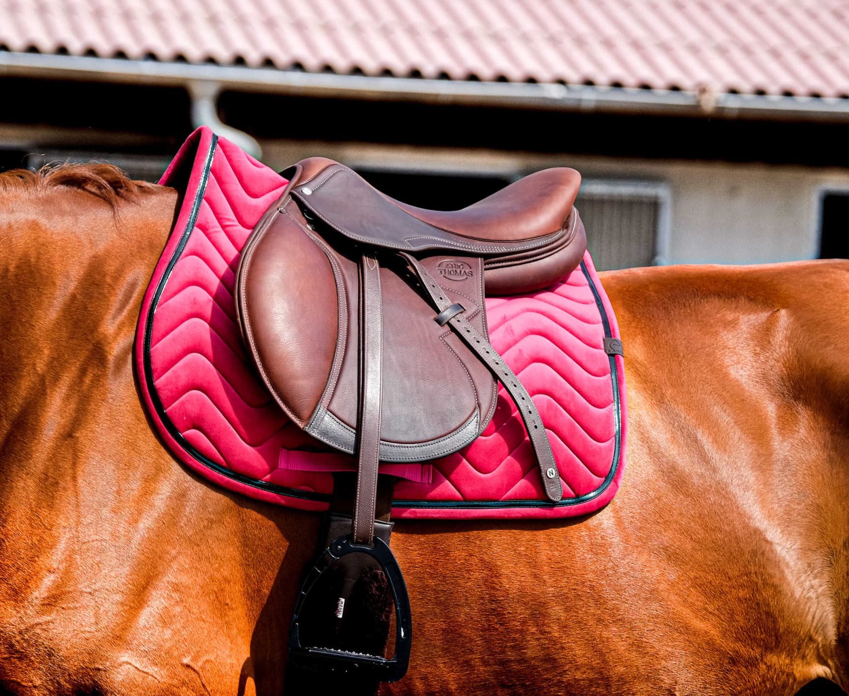 Tapis de selle EQUITHÈME -Glossy-