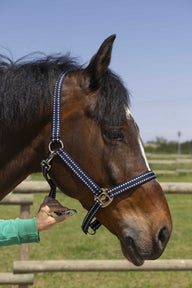 Licol NORTON - Grooming