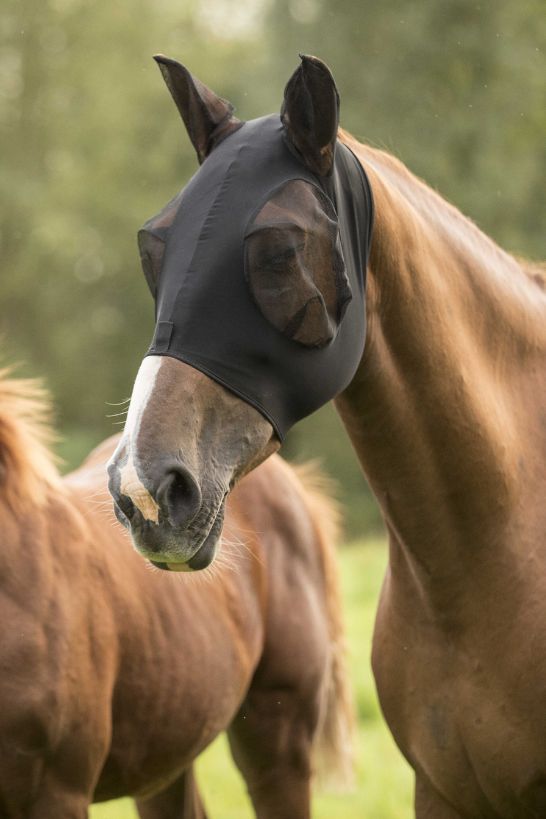 Masque anti-mouches LAMI-CELL Lycra
