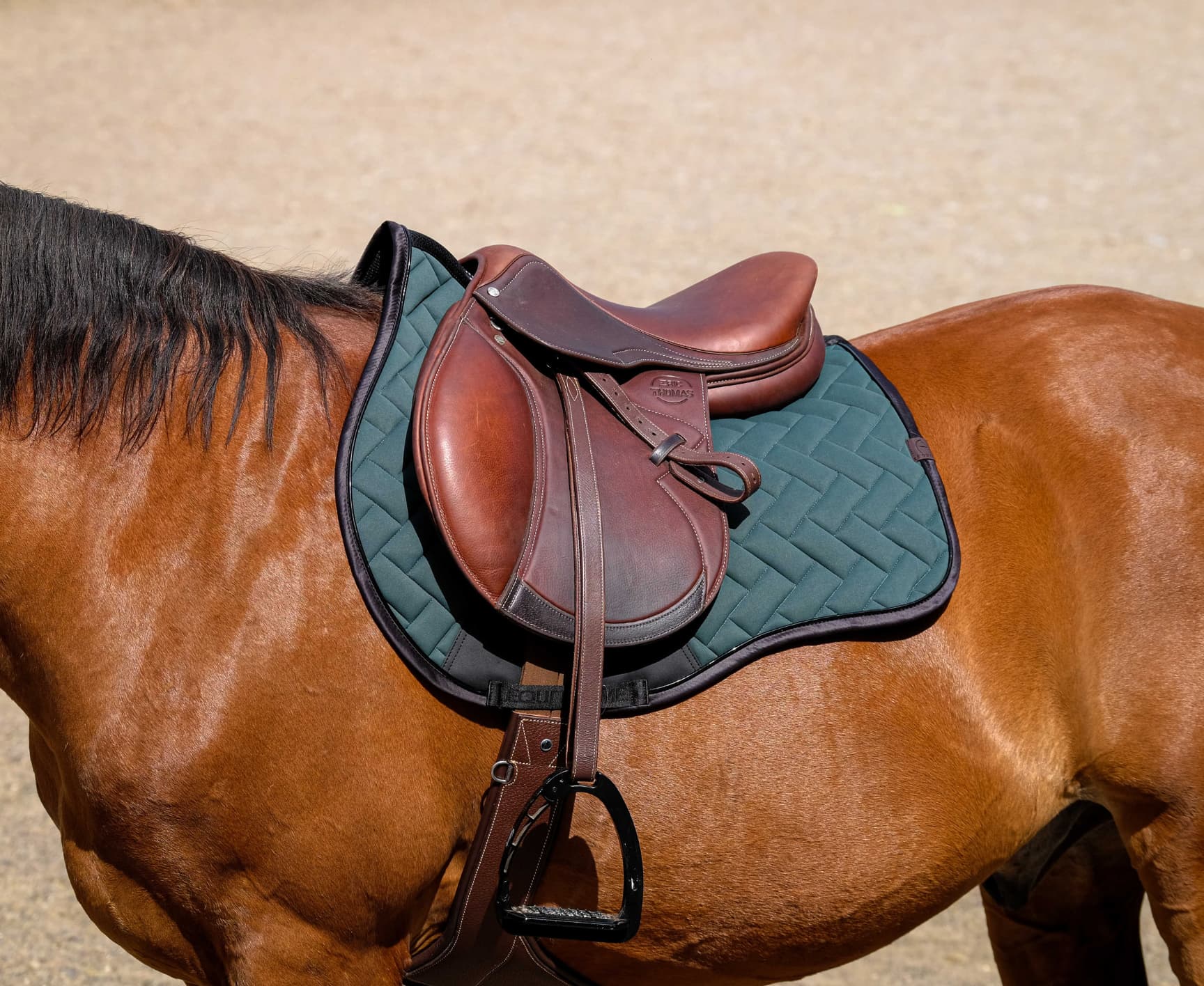 Tapis de selle EQUITHÈME - Impulsion