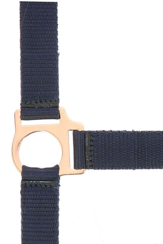 Licol + longe NORTON - Rose gold