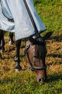 Chemise RIDING WORLD - Belly Mesh - Combo