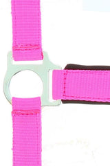 Licol NORTON - Fluo