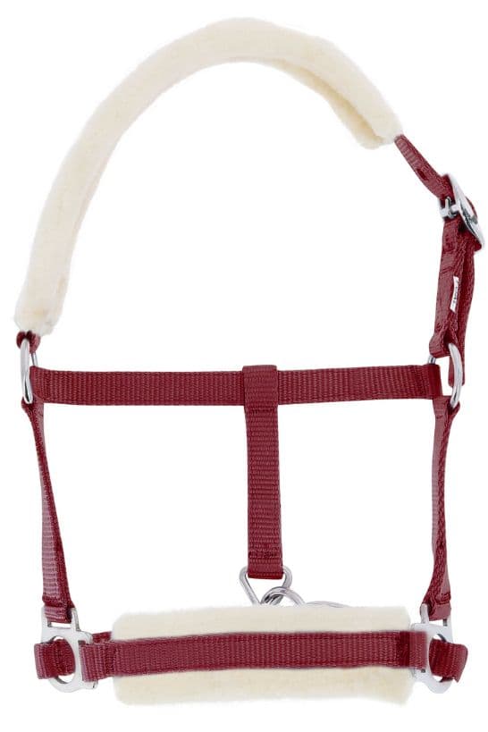 Licol foal RIDING WORLD mouton synthétique