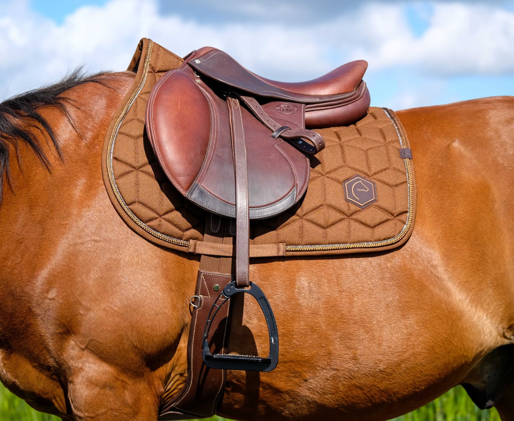 Tapis de selle EQUITHÈME - Hexalight
