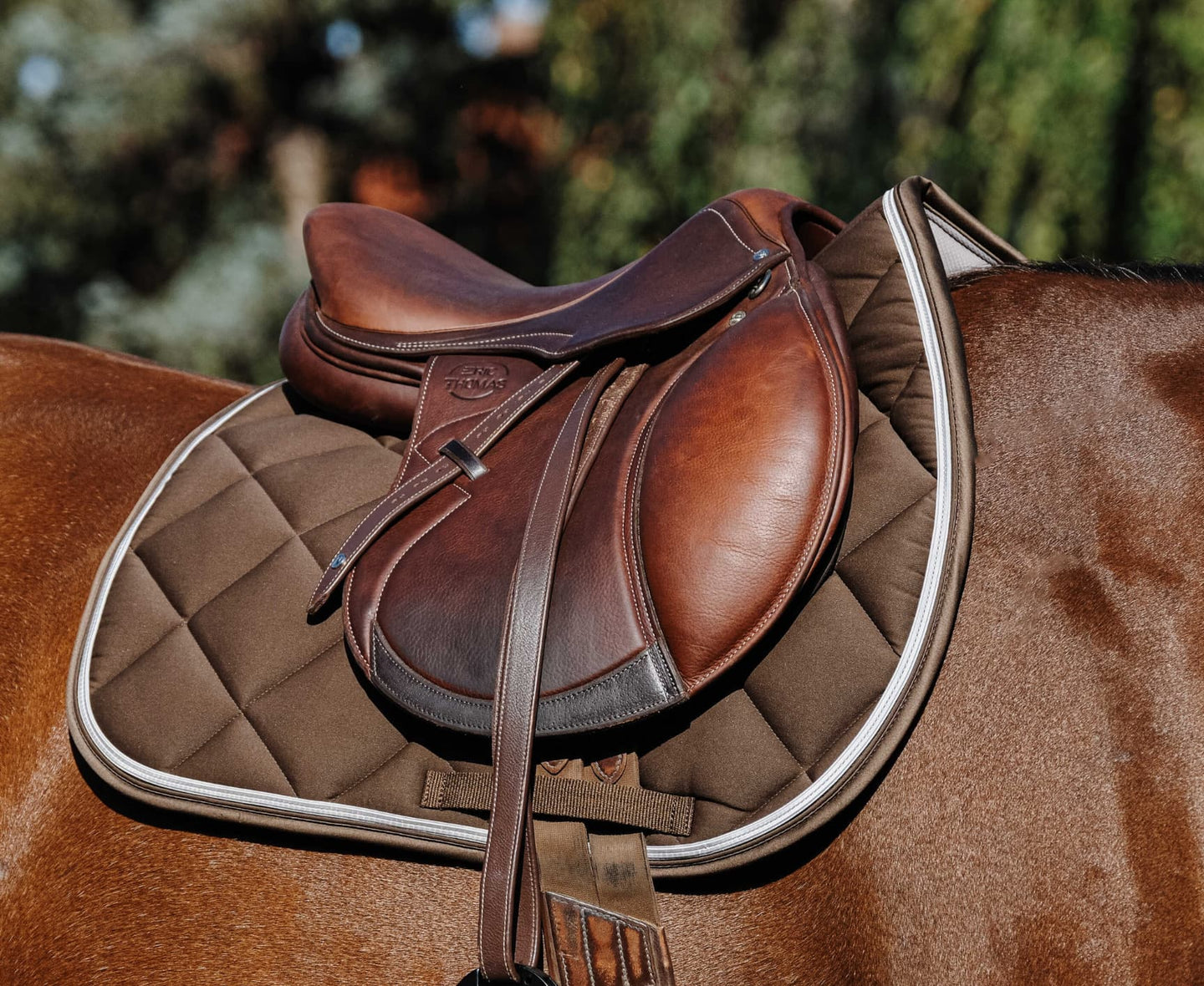 Tapis de selle EQUITHÈME - Classic