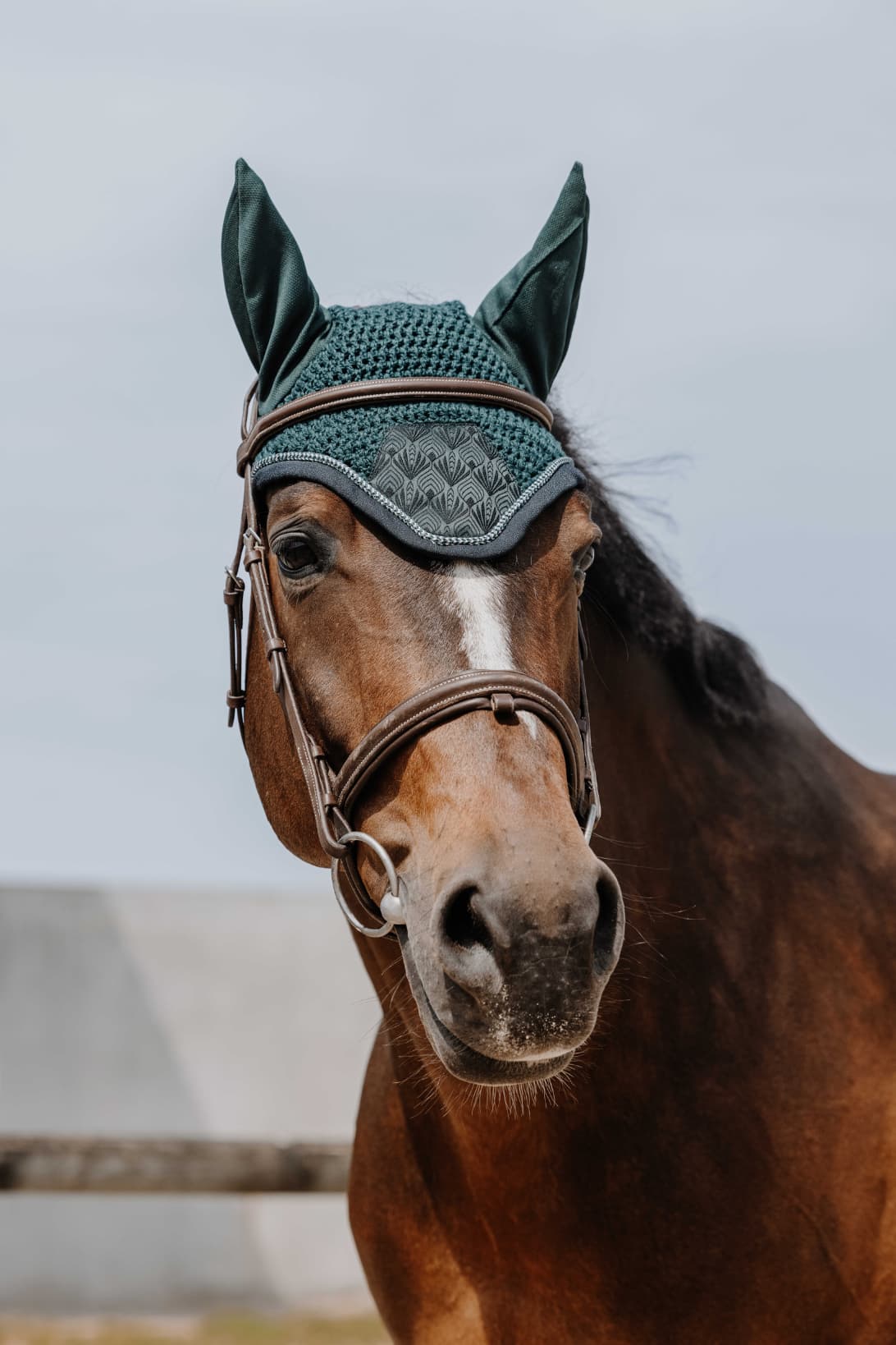 Bonnet chasse mouche EQUITHÈME - Brocart