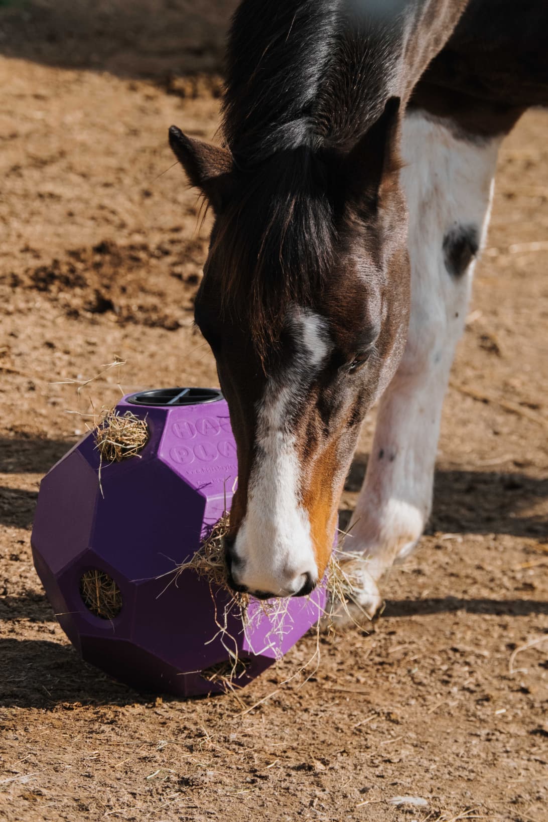 Balle anti-glouton HIPPOTONIC pour foin