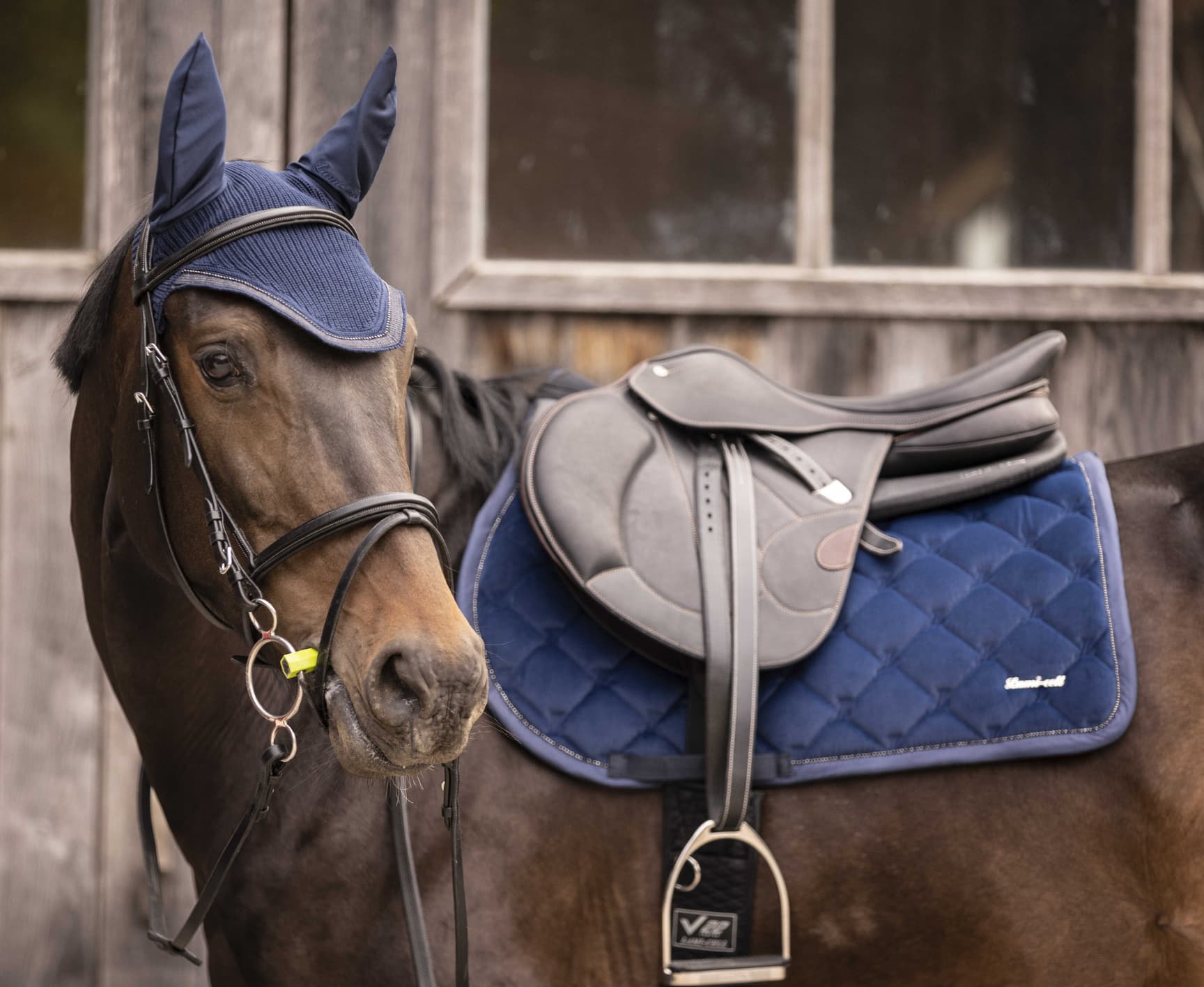 Tapis de selle LAMI-CELL - Galaxy Velvet