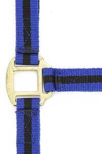 Licol nylon NORTON doublé cuir