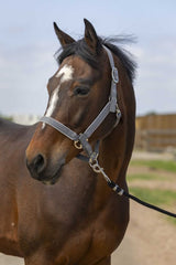 Licol EQUITHÈME - Nylon light