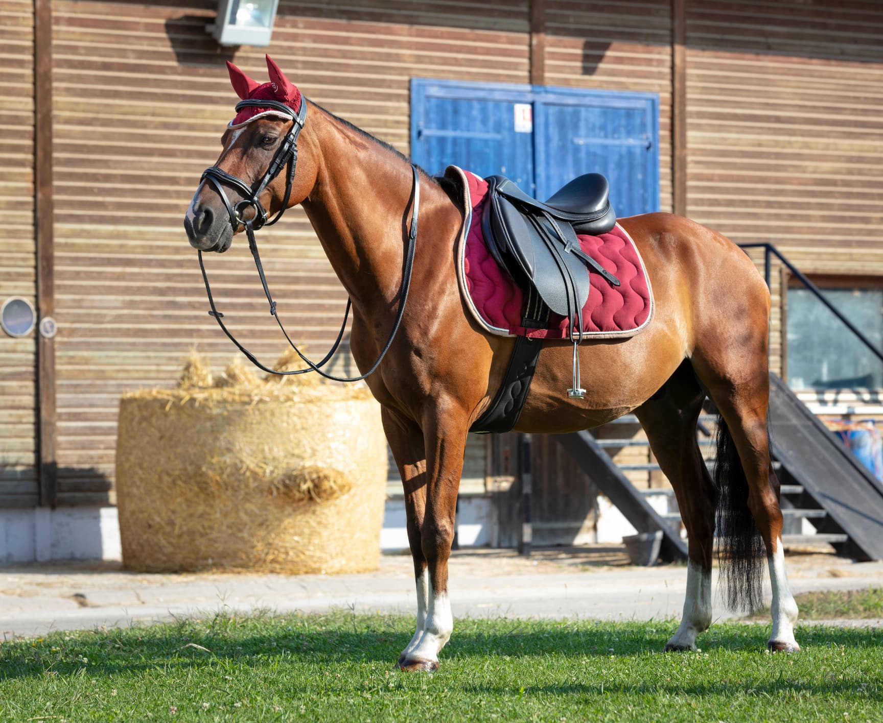 Tapis de selle EQUITHÈME - Polyfun