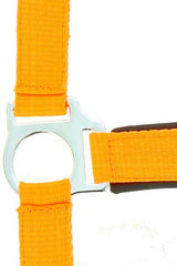 Licol NORTON - Fluo