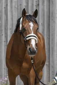 Licol RIDING WORLD mouton synthétique