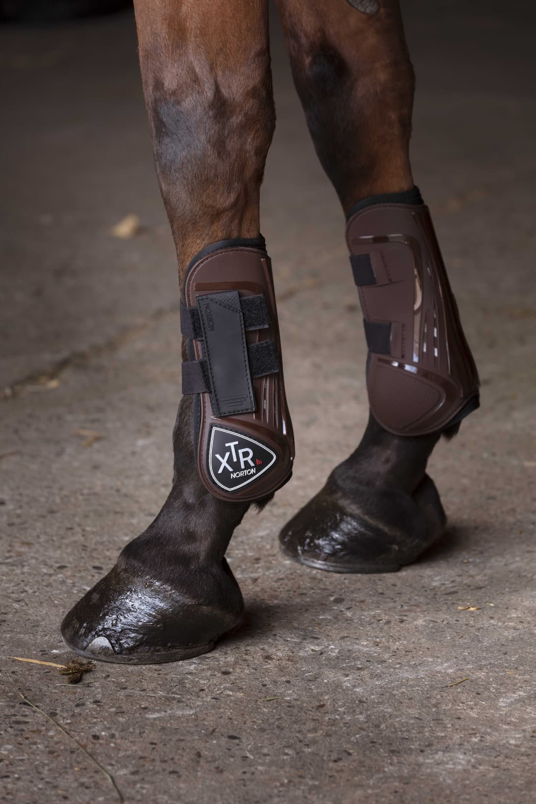 Guêtres NORTON - XTR