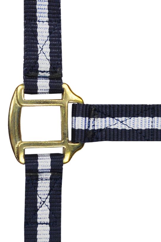 Licol nylon NORTON doublé cuir