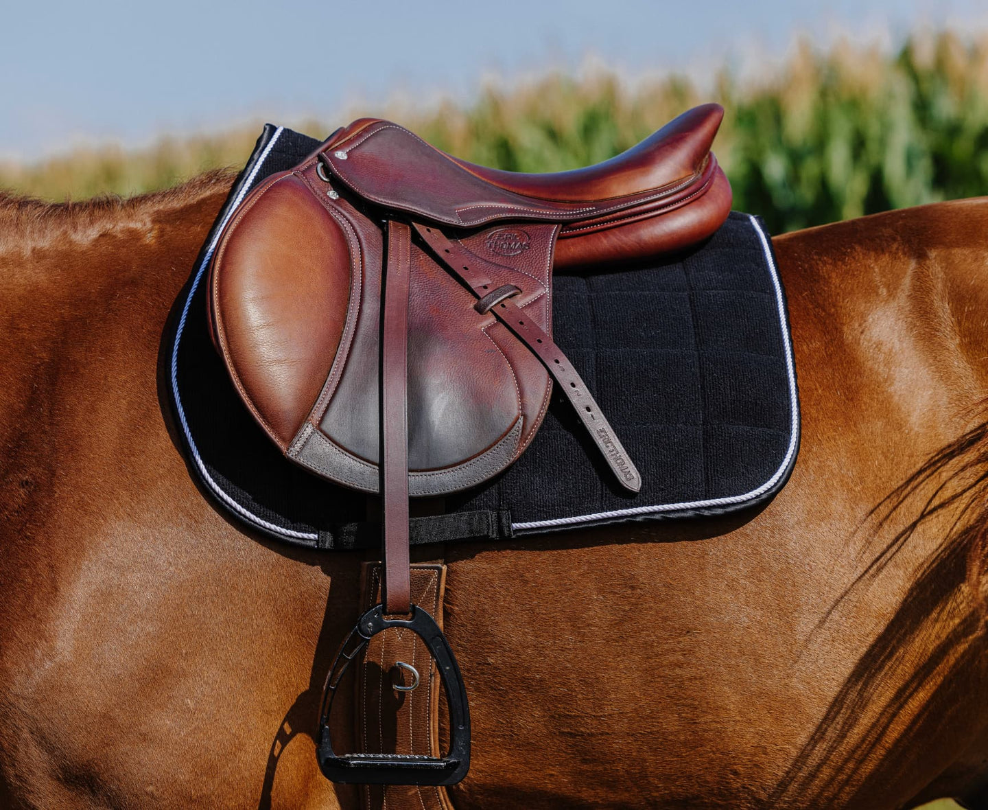 Tapis de selle RIDING WORLD - Corduroy