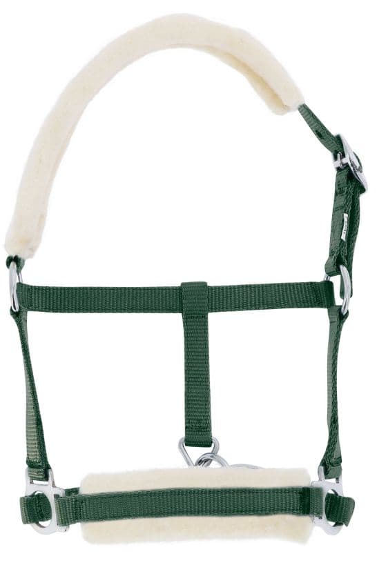 Licol foal RIDING WORLD mouton synthétique
