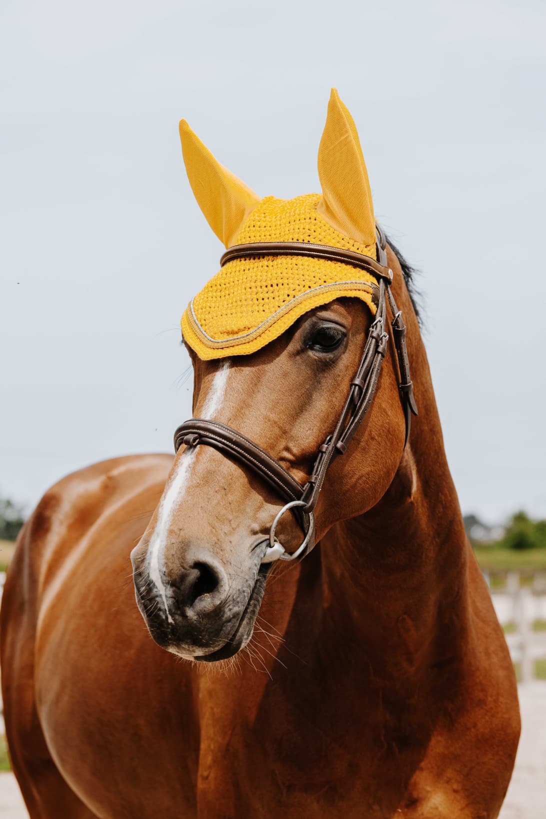 Bonnet chasse mouche EQUITHÈME - Hexalight