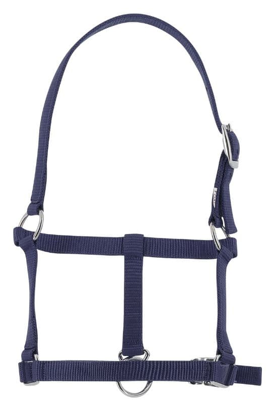 Licol foal RIDING WORLD
