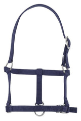Licol foal RIDING WORLD
