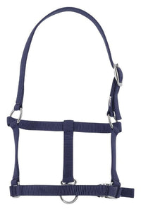 Licol foal RIDING WORLD