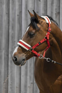 Licol RIDING WORLD mouton synthétique