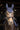 Bonnet chasse mouche LAMI-CELL - Galaxy