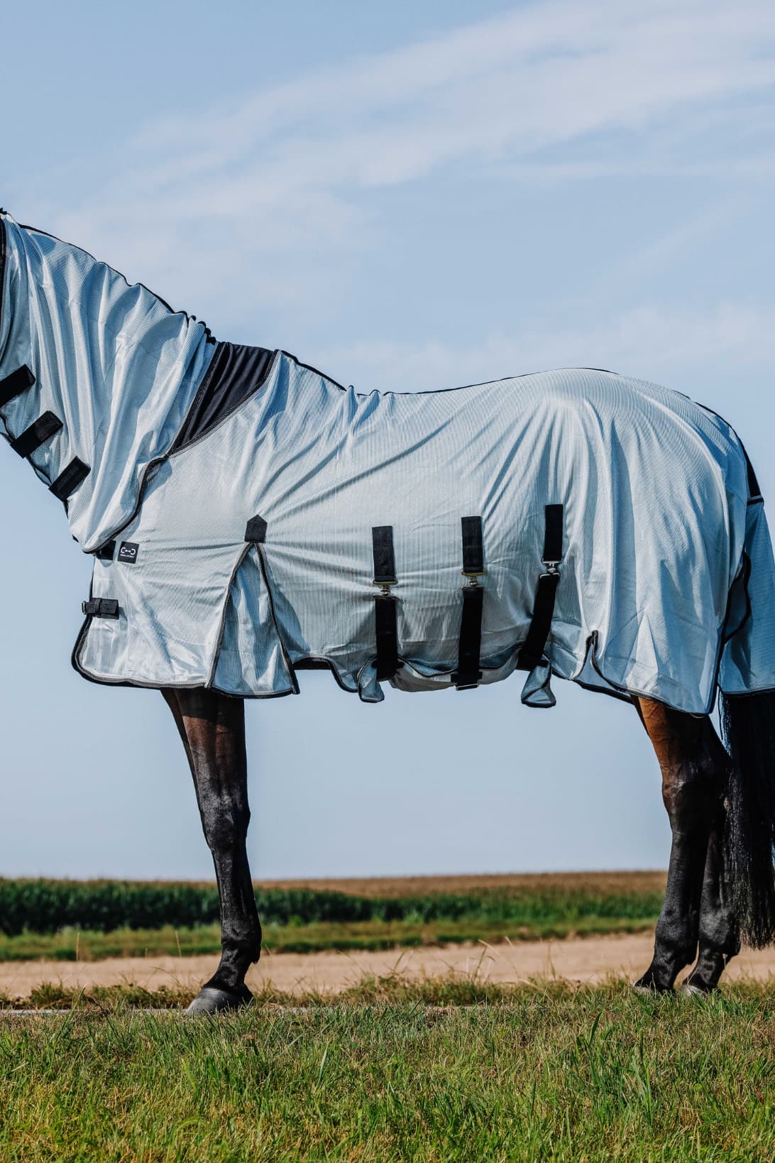 Chemise RIDING WORLD - Belly Mesh - Combo