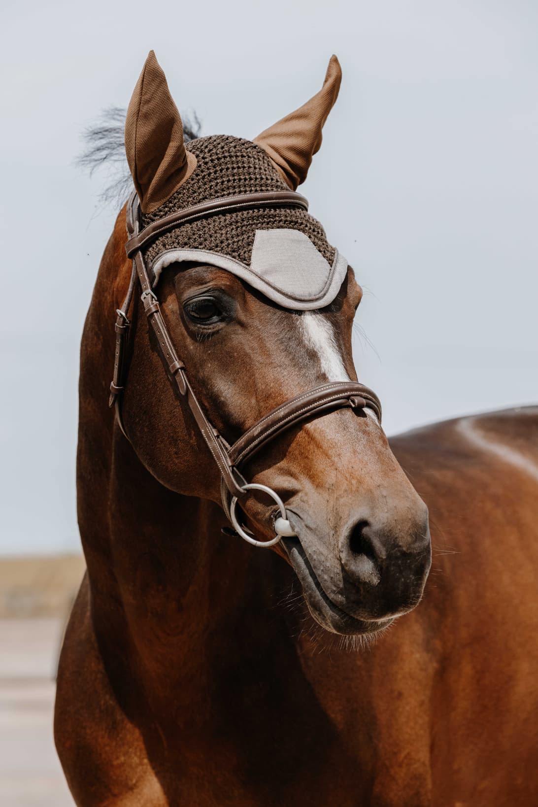 Bonnet chasse mouche EQUITHÈME - Chic